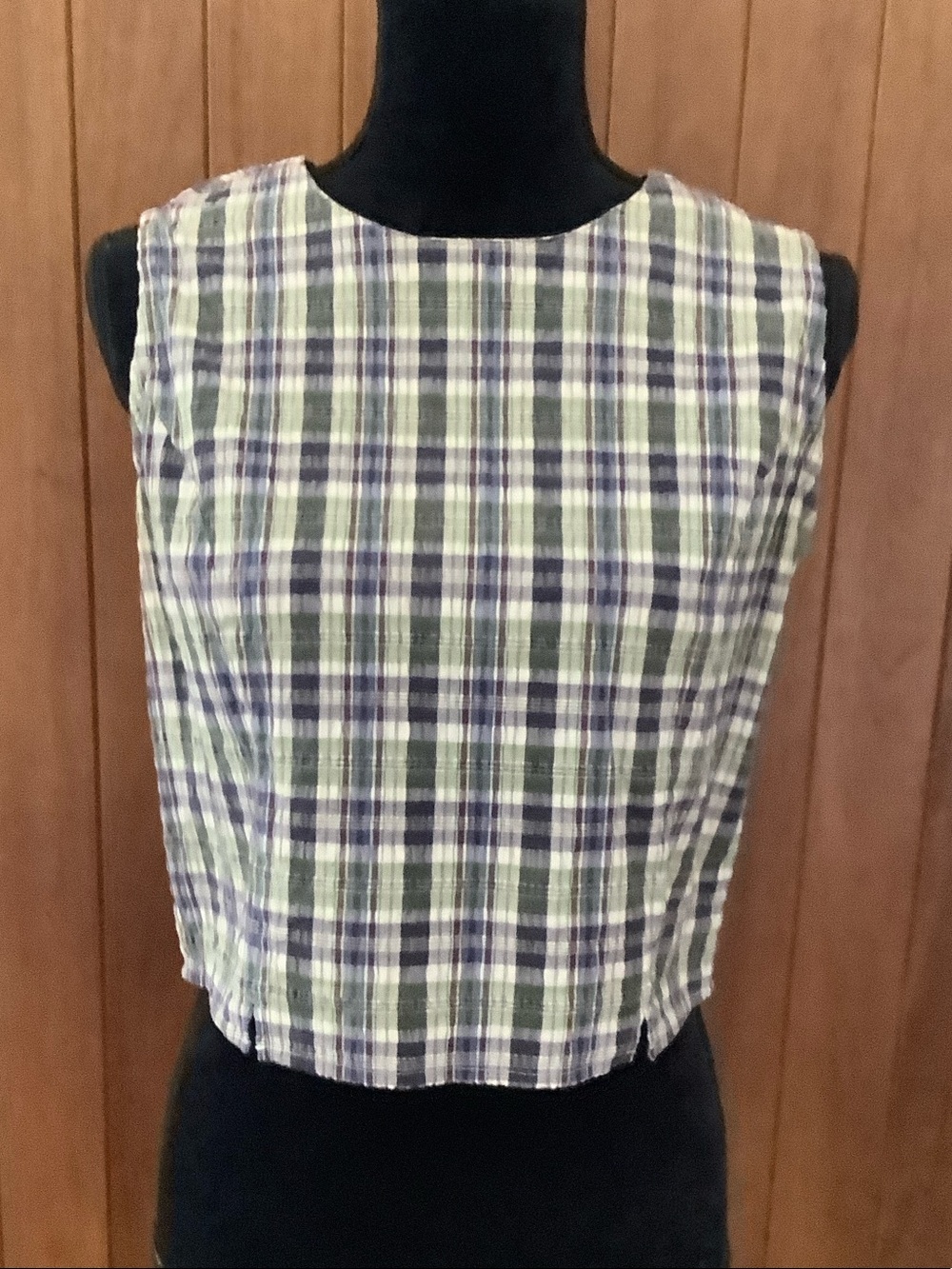 Express Blue, Green and Purple Plaid Sleeveless Crop Top